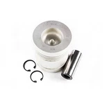 86740 Piston, Pin & Clips Suitable For Perkins Shipping From Texas Or Miami Dist. Fixed Price $67.66.